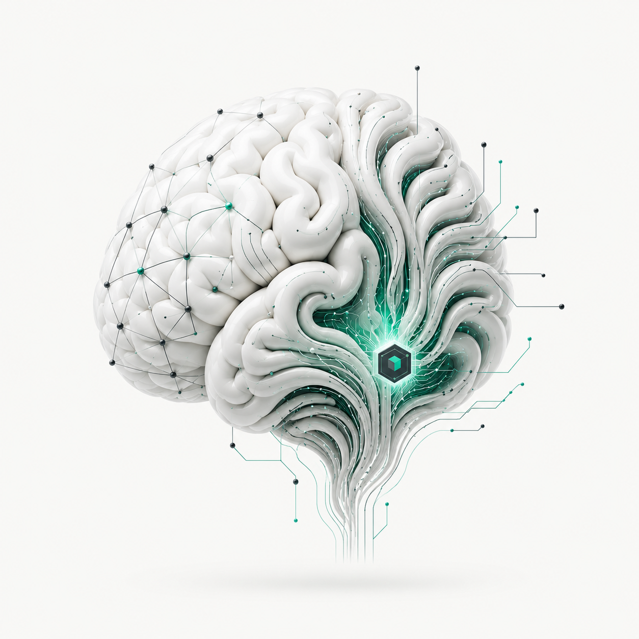 brain